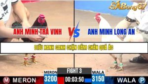 Trận 3 Bồ Gà C3 Ngày 21/7/2025