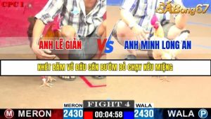 Trận 4 Bồ Gà C1 Ngày 14/7/2025