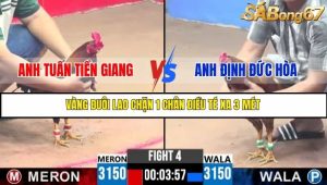 Trận 4 Bồ Gà C3 Ngày 15/7/2025