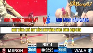 Trận 4 Bồ Gà C3 Ngày 22/7/2025