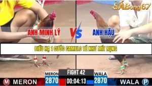 Trận 42 Bồ Gà C3 Ngày 22/7/2025
