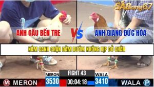 Trận 43 Bồ Gà C3 Ngày 22/7/2025