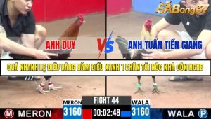 Trận 44 Bồ Gà C3 Ngày 22/7/2025