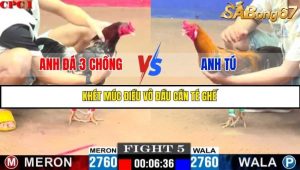 Trận 5 Bồ Gà C1 Ngày 15/7/2025
