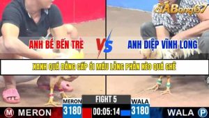 Trận 5 Bồ Gà C3 Ngày 15/7/2025
