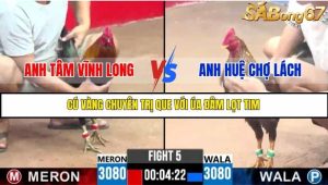 Trận 5 Bồ Gà C3 Ngày 22/7/2025