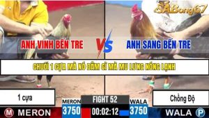 Trận 52 Bồ Gà C3 Ngày 22/7/2025