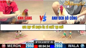 Trận 6 Bồ Gà C1 Ngày 15/7/2025