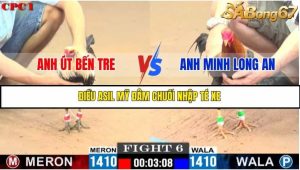 Trận 6 Bồ Gà C1 Ngày 21/7/2025