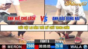 Trận 6 Bồ Gà C3 Ngày 15/7/2025