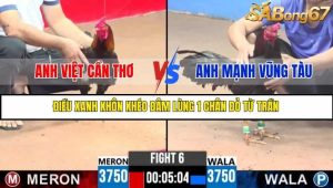 Trận 6 Bồ Gà C3 Ngày 21/7/2025