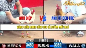 Trận 6 Bồ Gà C3 Ngày 22/7/2025