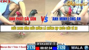 Trận 7 Bồ Gà C1 Ngày 14/7/2025