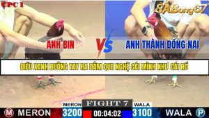 Trận 7 Bồ Gà C1 Ngày 15/7/2025