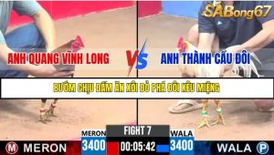 Trận 7 Bồ Gà C3 Ngày 15/7/2025