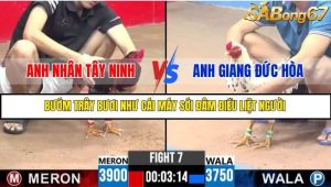 Trận 7 Bồ Gà C3 Ngày 22/7/2025