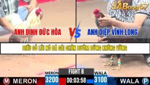 Trận 8 Bồ Gà C3 Ngày 15/7/2025