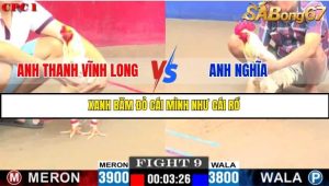 Trận 9 Bồ Gà C1 Ngày 22/7/2025