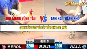 Trận 9 Bồ Gà C3 Ngày 21/7/2025
