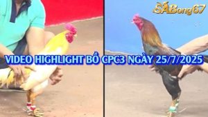 Nhận 2000 USD Tại Bồ C3 Ngày 25/7/2025