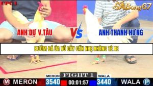 Trận 1 Bồ Gà C1 3/7/2025