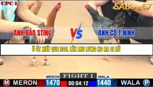 Trận 1 Bồ Gà C1 7/7/2025