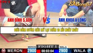 Trận 1 Bồ Gà C1 Ngày 12/7/2025