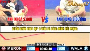 Trận 1 Bồ Gà C1 Ngày 23/7/2025