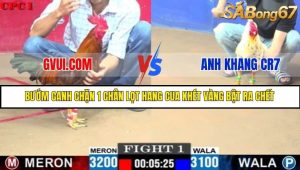 Trận 1 Bồ Gà C1 Ngày 26/7/2025