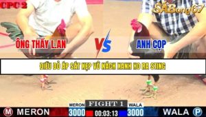 Trận 1 Bồ Gà C2 Ngày 13/7/2025