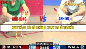 Trận 1 Bồ Gà C2 Ngày 16/7/2025
