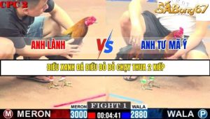 Trận 1 Bồ Gà C2 Ngày 4/7/2025