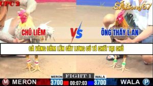 Trận 1 Bồ Gà C2 Ngày 9/7/2025