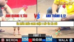 Trận 1 Bồ Gà C3 Ngày 18/7/2025