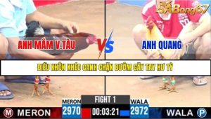 Trận 1 Bồ Gà C3 Ngày 25/7/2025