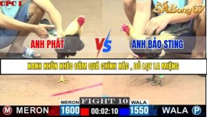Trận 10 Bồ Gà C1 7/7/2025
