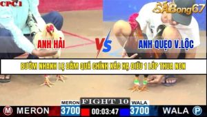 Trận 10 Bồ Gà C1 Ngày 12/7/2025
