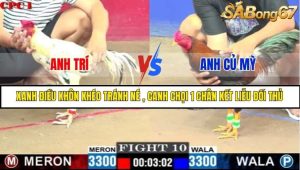 Trận 10 Bồ Gà C1 Ngày 19/7/2025