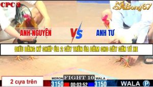 Trận 10 Bồ Gà C2 Ngày 18/7/2025