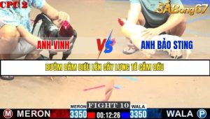Trận 10 Bồ Gà C2 Ngày 20/7/2025