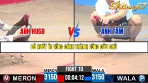 Trận 10 Bồ Gà C3 Ngày 13/7/2025