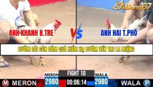 Trận 10 Bồ Gà C3 Ngày 17/7/2025