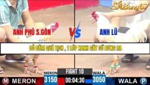 Trận 10 Bồ Gà C3 Ngày 28/7/2025