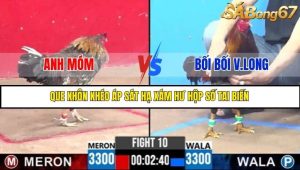 Trận 10 Bồ Gà C3 Ngày 8/7/2025