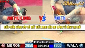 Trận 11 Bồ Gà C1 Ngày 12/7/2025