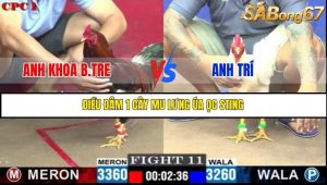 Trận 11 Bồ Gà C1 Ngày 17/7/2025