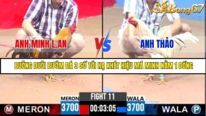 Trận 11 Bồ Gà C3 3/7/2025