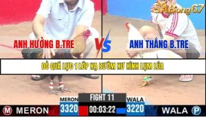 Trận 11 Bồ Gà C3 Ngày 13/7/2025