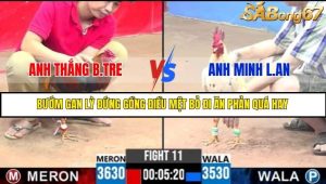 Trận 11 Bồ Gà C3 Ngày 19/7/2025