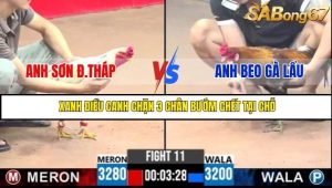 Trận 11 Bồ Gà C3 Ngày 29/7/2025